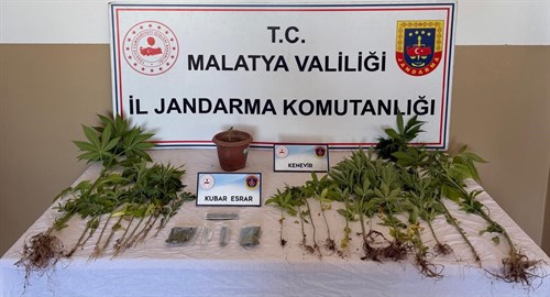Jandarma Tarafından Narkotik Operasyonu Gerçekleşti