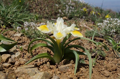 Beydağı Tabiat Parkı